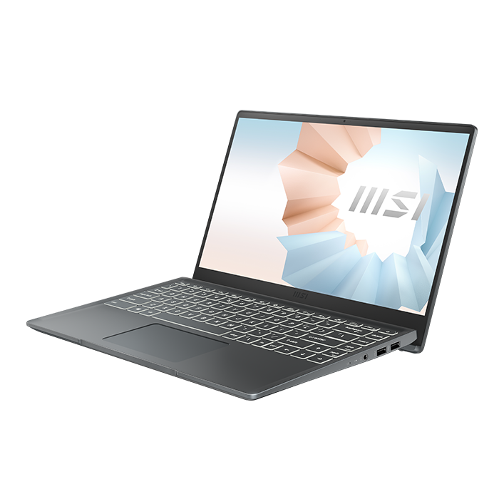 MSI MODERN 14 B10MW-442MY Laptop Notebook (Intel i3-10110U